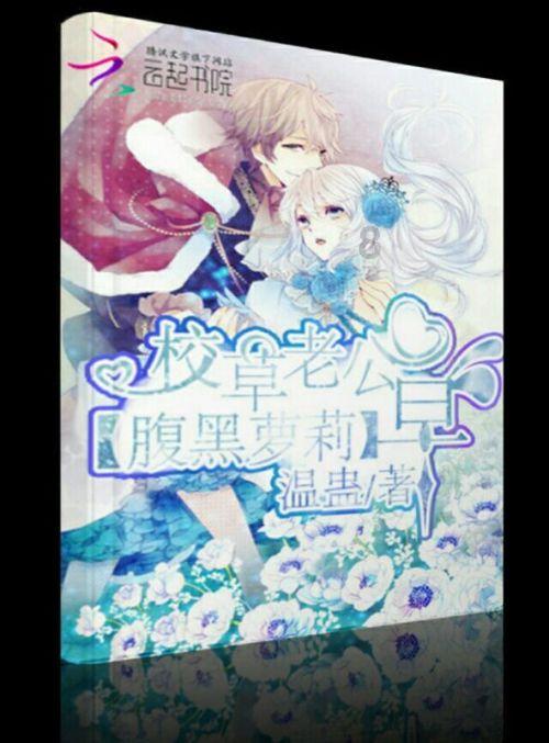 魏村船闸成功纳入江苏全省航道网运行调度与监测体系